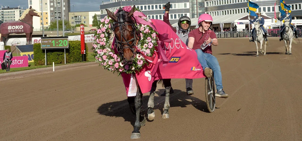 Bild från elitloppet.se